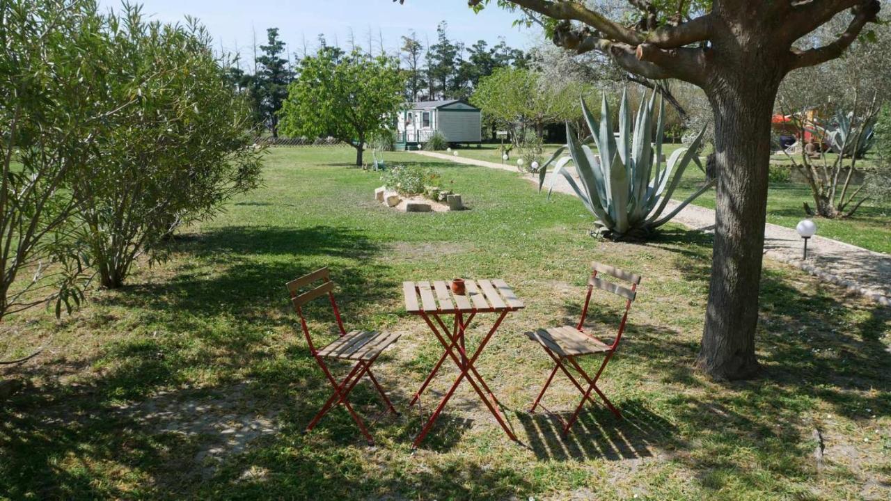 Appartamento Mas Maurane - Les Lavandes Aux Portes D'Arles Tarascona Esterno foto